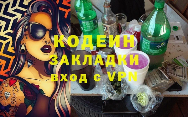 твердый Протвино