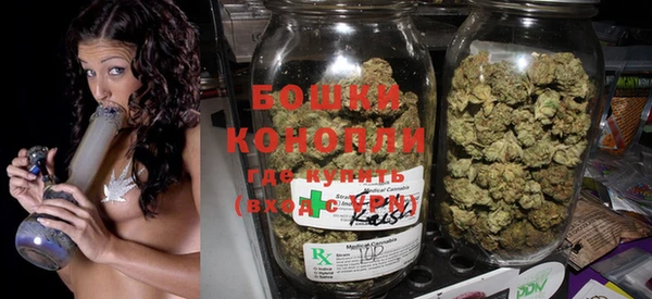 PSILOCYBIN Приозерск