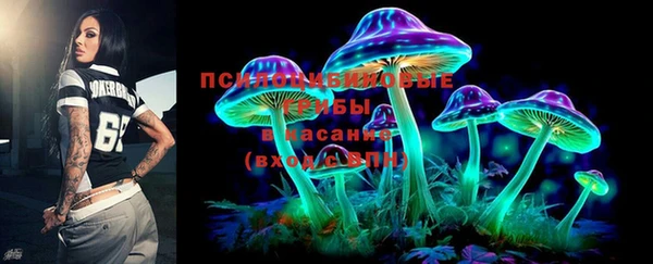 твердый Протвино